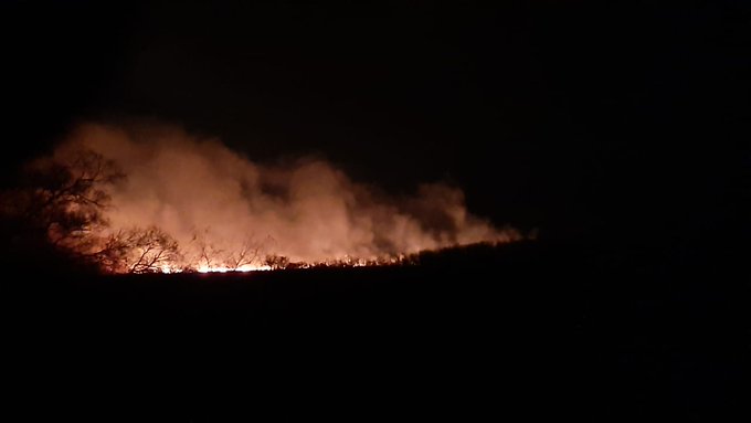 El fuego en las islas del Delta del Paraná vuelve a ser noticia