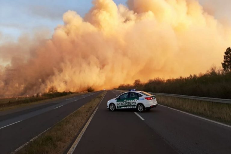 Defensa frente al cambio climático: «Los bosques, los humedales y otros ecosistemas actúan como amortiguadores contra el clima extremo y protegen casas, cultivos, fuentes de agua dulce e infraestructura vital»