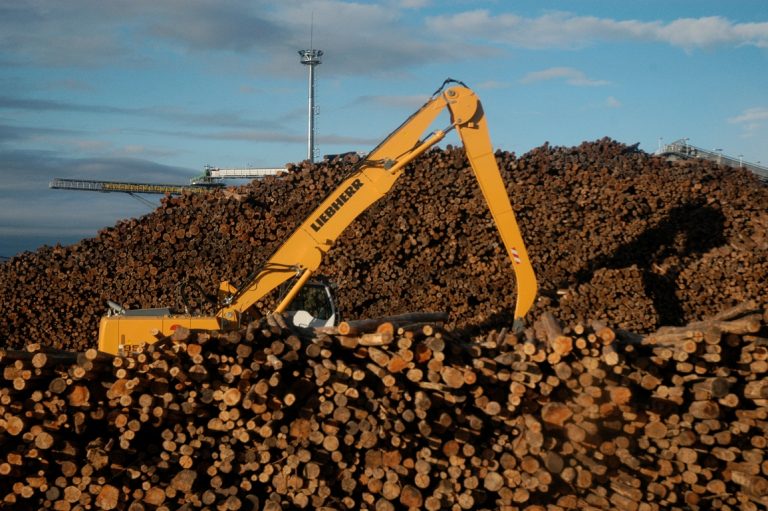 Búsqueda Laboral: operador de grúas, máquinas viales, y camiones, de vasta experiencia, busca nuevo empleo en Misiones o Corrientes