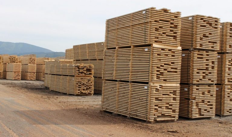 Las importaciones de madera y derivados crecieron en la UE en un 4% en valor en el año 2019