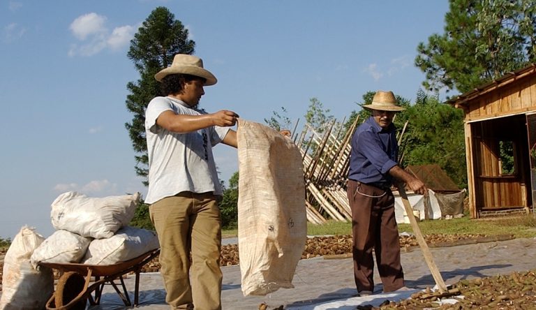 Búsqueda laboral: operario o peón de campo busca empleo en zonas de influencia de San Pedro, Misiones