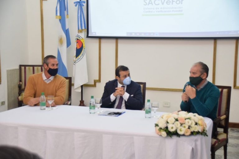 Misiones ya puso en marcha oficialmente la guía digital de la madera nativa en toda la provincia 