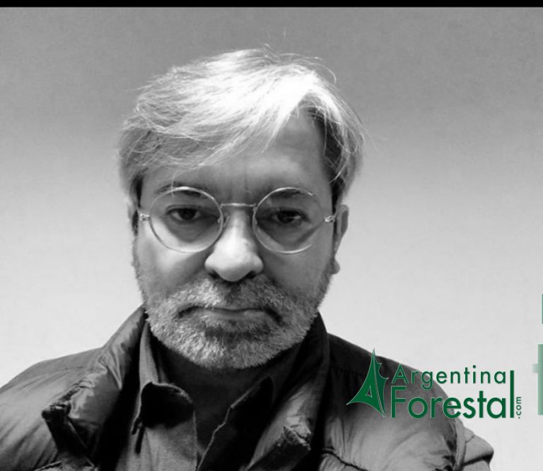 Ingeniería Forestal: reflexiones sobre los desafíos globales presentes y futuros de la profesión