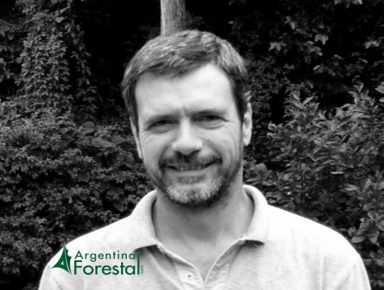 Ricardo Austin, de Arauco Argentina SA: «Los profesionales forestales tenemos un rol fundamental en la tarea de asegurar que todos los beneficios derivados de los bosques se mantengan a perpetuidad»