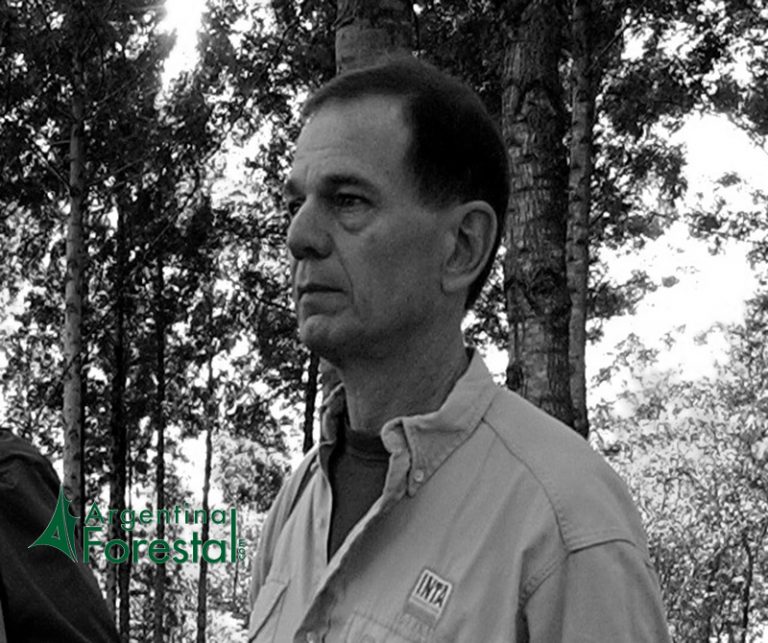Ernesto Crechi, el primer ingeniero forestal egresado de la carrera de la facultad de la UNaM, a 40 años de graduarse asevera: «La Ingeniería Forestal es la carrera del futuro»