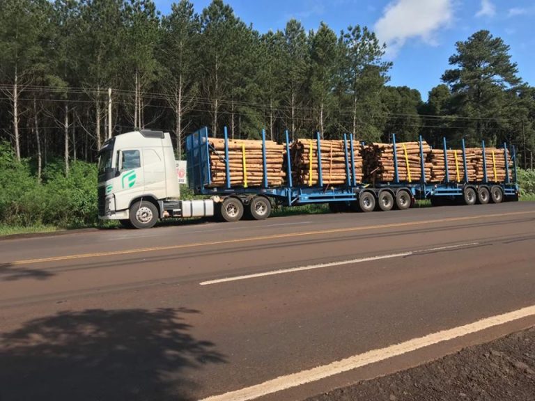 Misiones: sorpresiva medida de fuerza de choferes de bitrenes del Sindicato de Camioneros frente a los accesos de las plantas de Arauco en Piray y Esperanza