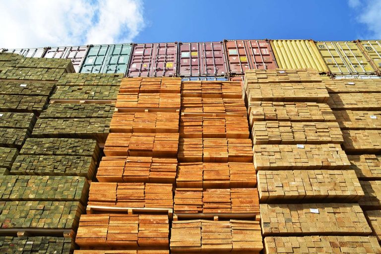 Estados Unidos impone aranceles a la madera chilena por acusaciones de trabajo forzoso y empresarios rechazan la medida por «infundada» e «injusta» 