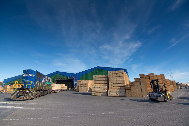 En Chile, las exportaciones forestales registraron una caída de un 20% en el primer semestre respecto al valor exportado