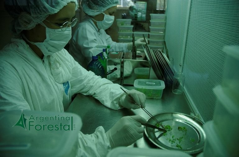 Por unanimidad, el Senado aprobó la ley de financiamiento del sistema nacional de ciencia, tecnología e innovación en Argentina