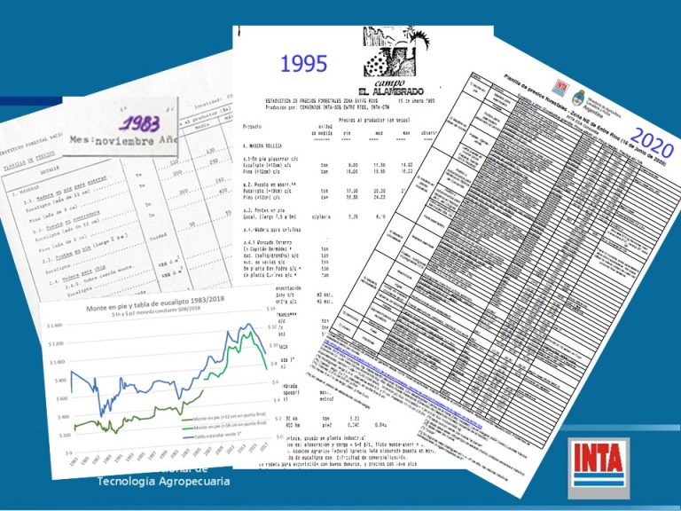 INTA Concordia lleva datos estadísticos de precios, costos, y rentabilidad forestal desde hace 40 años