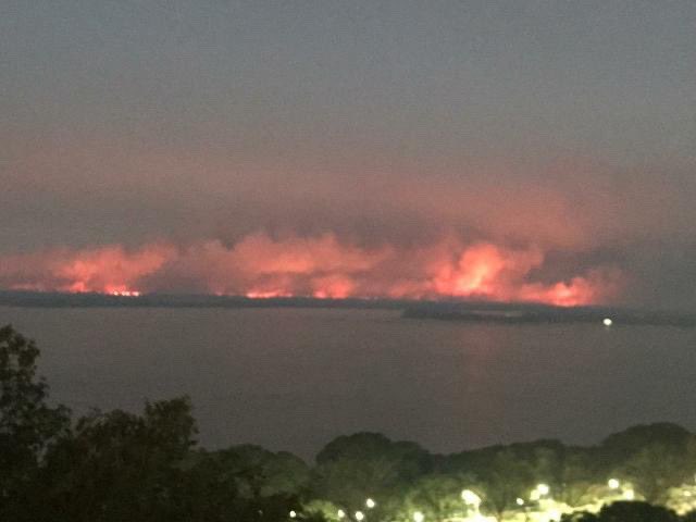Incendios en el Delta del Paraná en Entre Ríos: una lista de ganaderos y terratenientes investigados, pero sin avances en la Justicia