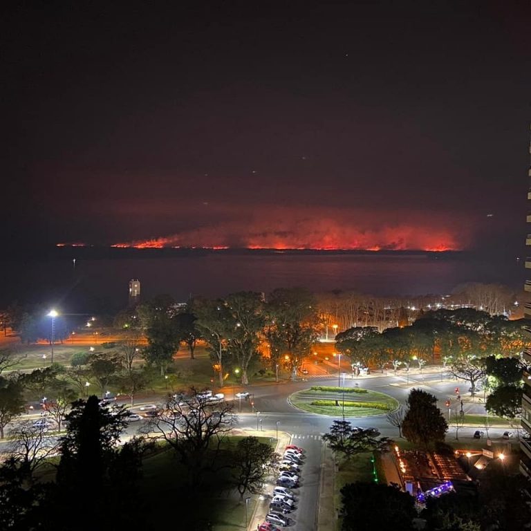 Fuego en pastizales de las Islas del Delta del Paraná: a pesar de las múltiples denuncias penales por los incendios frente a Rosario, la quema ilegal continuó el fin de semana