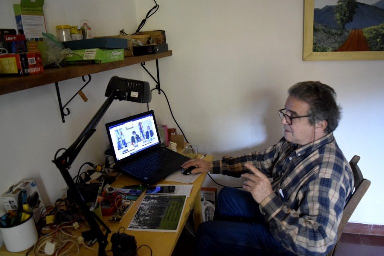 El precio de la madera de bosques implantados