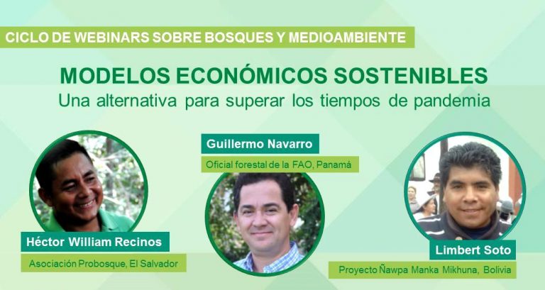 Webinar de la Recofalc: Modelos Económicos Sostenibles, este miércoles 15 de julio por facebook live