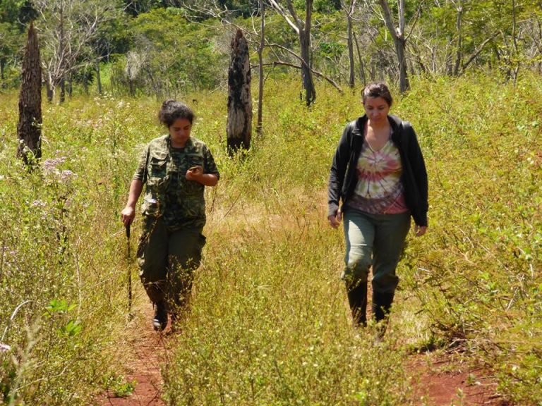 Misiones: lanzaron becas de 40 mil pesos para estudiantes de la carrera de Guardaparques