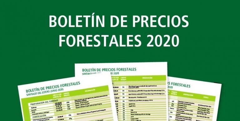Santiago del Estero: precios de referencia de productos forestales del mes de junio de 2020