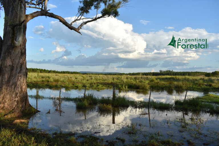 Turismo de naturaleza: pueblos rurales se preparan con emprendimientos y universidad para ofrecer alternativas turísticas de proximidad ante la nueva realidad