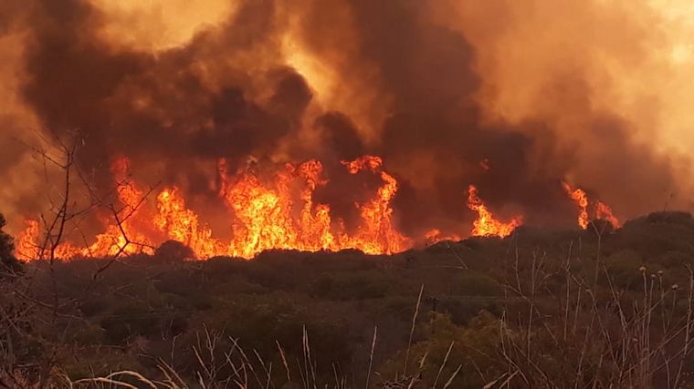 Un joven ingeniero forestal escribió una carta abierta al presidente de la Nación desde la “desesperación” por los incendios en el país: “Lidere esta batalla, el fuego está arrasando con los bosques, humedales y las sierras”