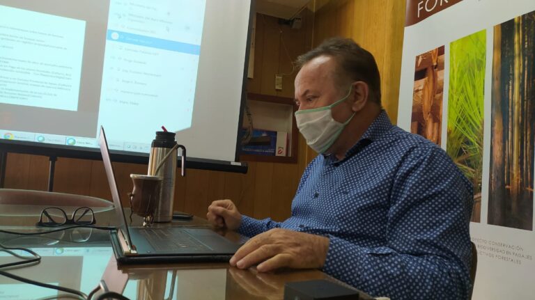 Misiones: en la tercera reunión de la Mesa Forestal Provincial el tema de la agenda apuntará a la competitividad de la industria forestal, madera y mueble 