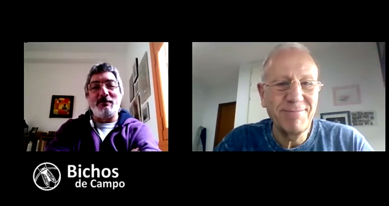 Daniel Maradei con Bichos del Campo: «Para desarrollar la forestación nos faltó avanzar en la transformación de la materia prima, hoy nos preocupa lograr rentabilidad para el productor”