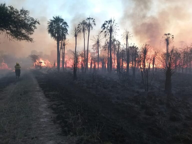 Formosa: durante tres días combatieron un incendio en el Parque Nacional Río Pilcomayo, el segundo de mayor diversidad biológica de la Argentina