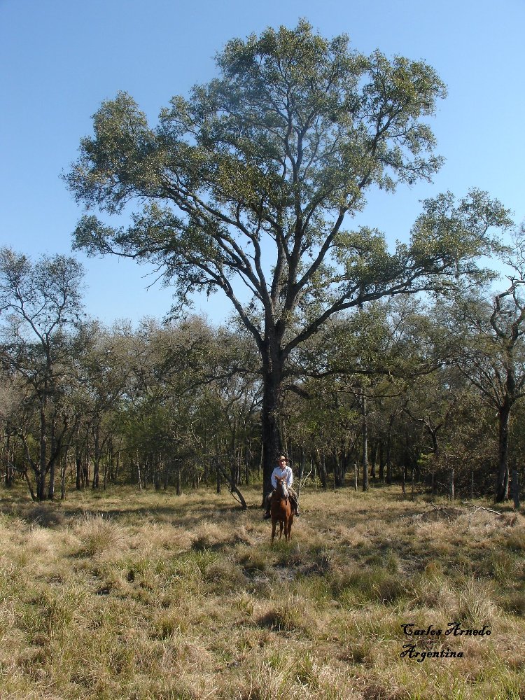 Fondo Verde del Clima | Santiago del Estero constituy&oacute; el primer comit&eacute; de Cuenca Forestal del pa&iacute;s en la regi&oacute;n de Monte Quemado