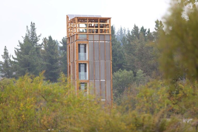 Chile avanza en la construcción de edificios de madera que se destacan por sus ventajas en sustentabilidad y confort
