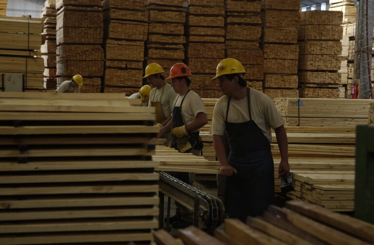 Misiones | El sector foresto-industrial se expresó a través del InFoPro en rechazo al 15% de retenciones a las exportaciones y al DNU propuesto por Milei