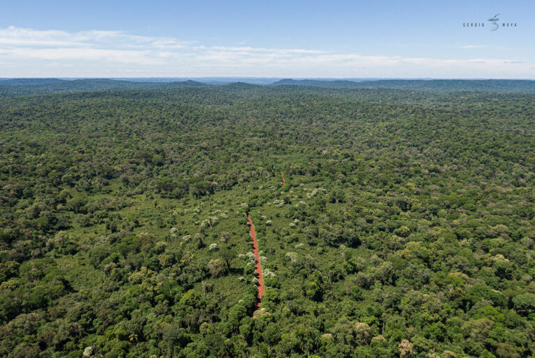 Misiones | Proponen crear el sendero de selva más extenso de la Argentina para desarrollar el ecoturismo en la reserva de biosfera Yabotí