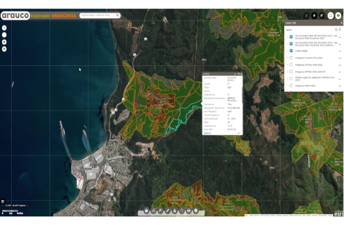 Tecnología inteligente: ARAUCO logró estandarización de procesos en Brasil, Argentina y Chile con soluciones avanzadas de GIS con la española Ayesa
