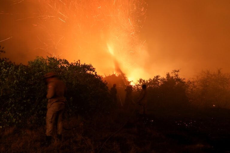Brasil: pericias señalan que los incendios que llevan más de dos meses en el Pantanal del Mato Grosso fueron causados ​​por la acción humana