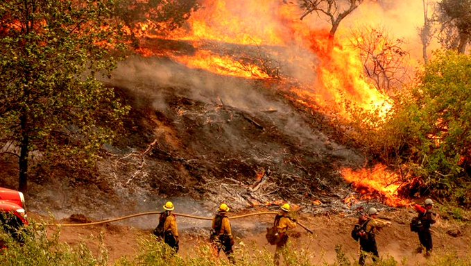 Cambio climático: «La velocidad a la que aumentan las temperaturas en todo el planeta es alarmante”