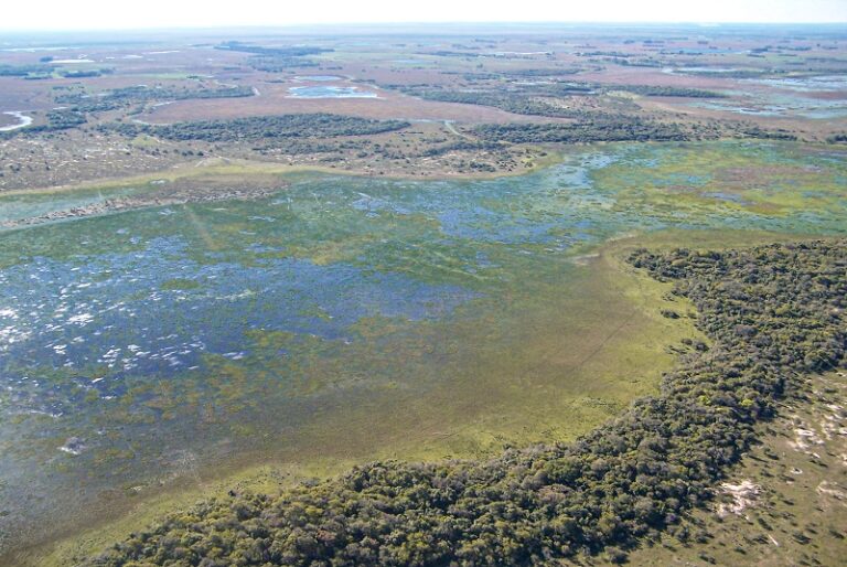 Buenas prácticas: para el INTA, hay que contribuir a la sostenibilidad de los humedales de la Argentina vinculados a la producción agropecuaria y forestal