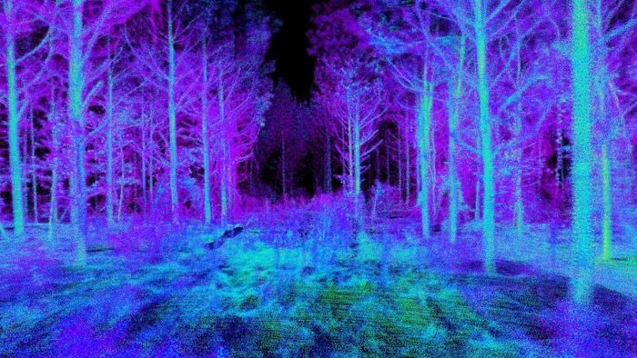 Conservación: investigadores de EEUU y Brasil desarrollaron un dron autónomo que logra inventariar bosques y combatir la deforestación