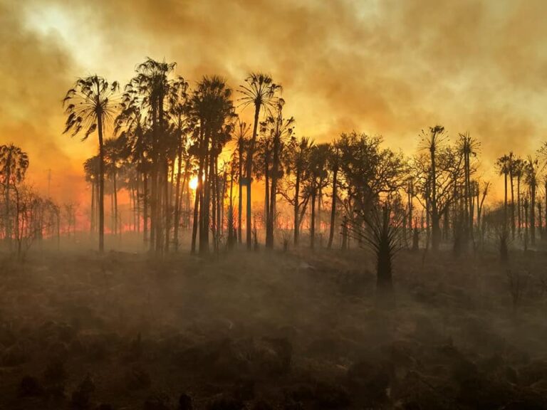 Formosa: Gobierno Nacional declaró la emergencia agropecuaria en por la extrema sequía en la provincia