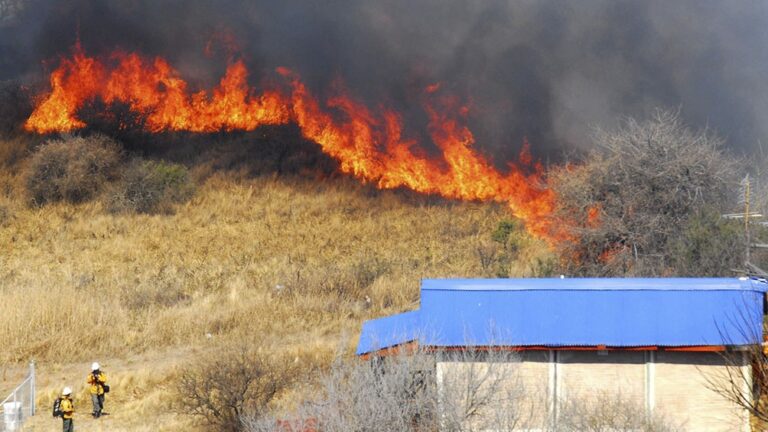 Reporte nacional: Los incendios forestales continúan activos en Santa Fe, Entre Ríos, San Luis y Tucumán 