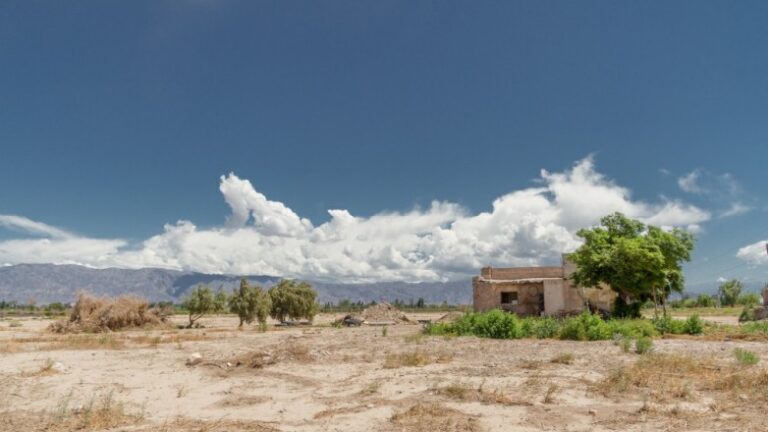 San Juan premió las mejores fotografías del concurso ambiental de arbolado urbano que resultó con más de 80 imágenes