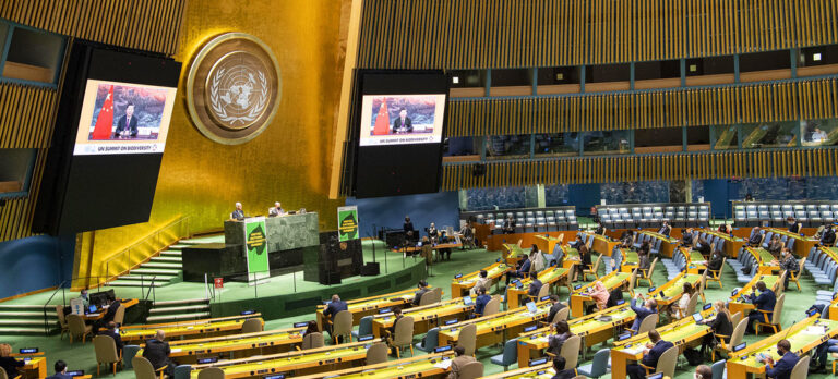 Cumbre Mundial de Naciones Unidas logra compromiso para acordar en 2021 un nuevo marco de protección de la biodiversidad en la COP15 en China