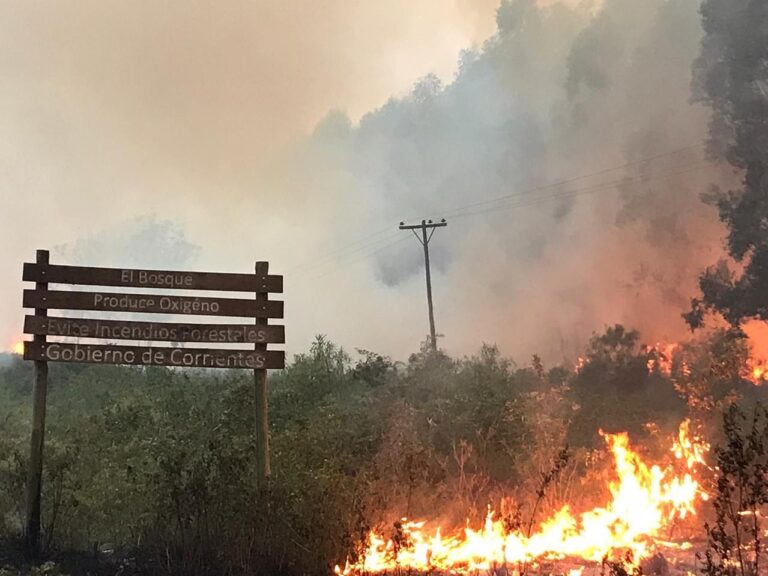 Un nuevo y voraz incendio arrasó unas 20.000 hectáreas forestadas y unas 30.000 hectáreas de campo en Virasor