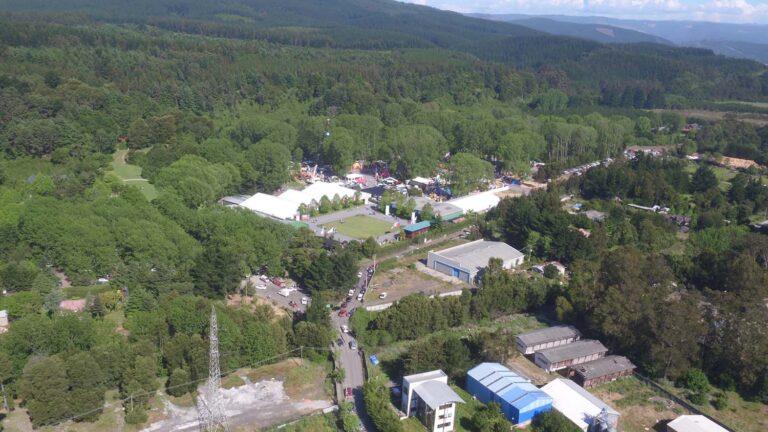 Desde ExpoCorma Digital 2020 apuestan a impulsar la reactivación económica forestal chilena