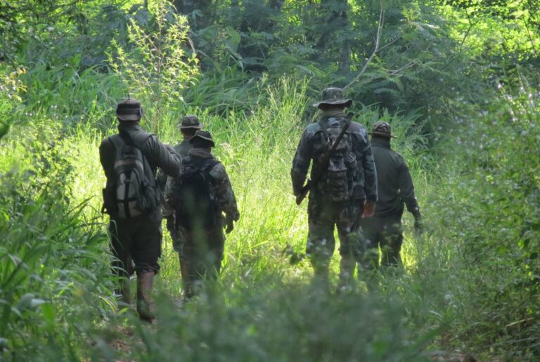 Misiones: Guardaparques conmemoran su día en un contexto de valorización internacional por la protección de las áreas naturales
