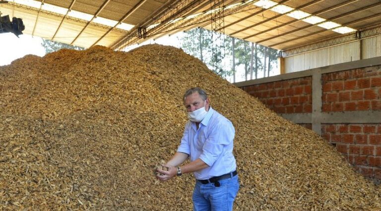 Hugo Escalada, director del InFoPro Misiones: «Fijar el precio de chip y raleo fue solo un paso, el gran avance será lograr el diálogo entre los propios integrantes de la cadena foresto-industrial y definir sus políticas de desarrollo»