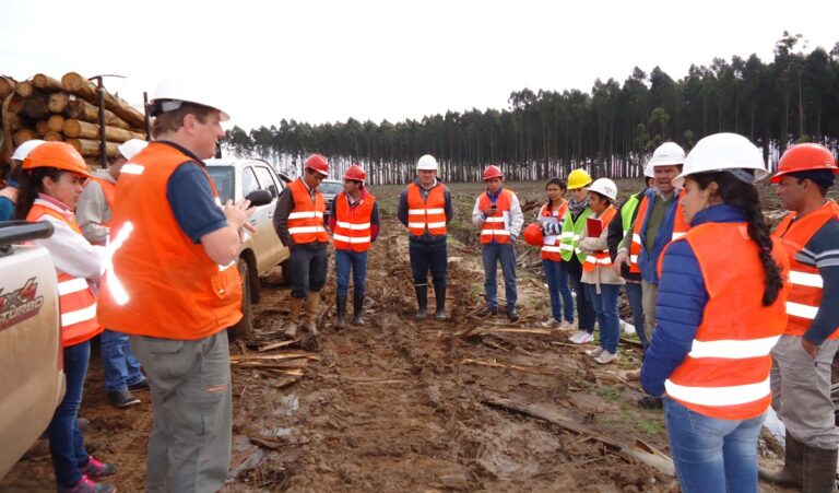 La Responsabilidad Social Empresaria en la actividad forestal