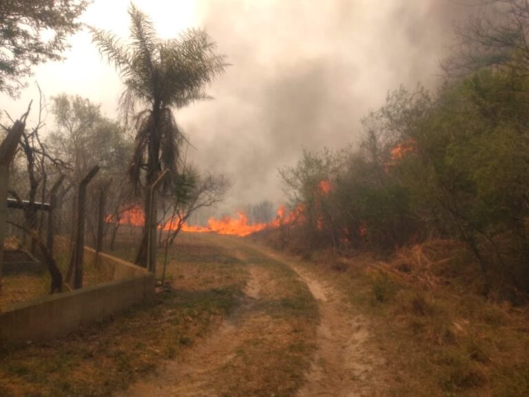 Corrientes en alerta extrema por extensos y múltiples focos de incendios forestales en la provincia