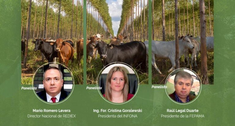 Agenda Virtual desde Paraguay: Webinar «Producción Forestal, una oportunidades de negocio y mercado»