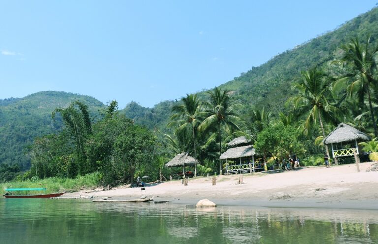 Perú: la UNESCO reconoció como sexta Reserva de Biosfera a Bosques de Neblina Selva Central