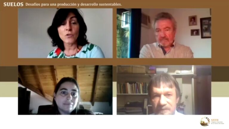 Suelos forestales, un recurso estratégico para la gestión sostenible de la producción de bienes y servicios del territorio