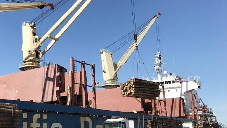Se mantiene en forma creciente la demanda externa de madera misionera