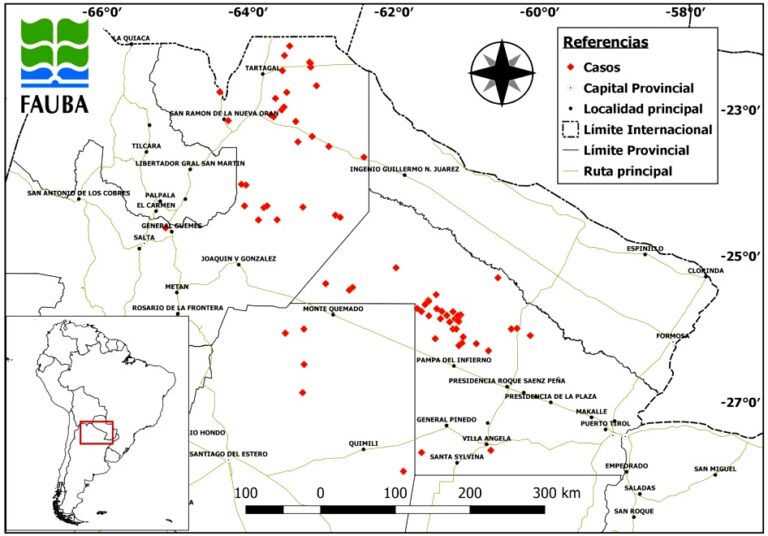 Investigadores de la FAUBA estudian las causas detrás de los desmontes ilegales en el Chaco Seco argentino