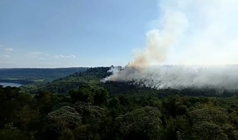 Misiones: con un avión hidrante y más de 40 brigadistas luchan por combatir un complejo incendio forestal en la Reserva de Biosfera Yabotí